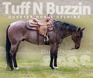 Tuff N Buzzin