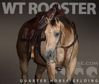 Wt Rooster (Goode)