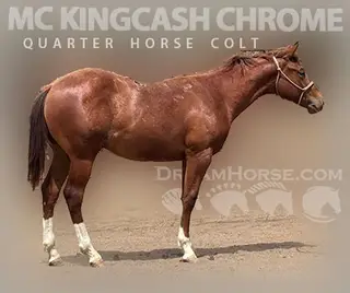 MC Kingcash Chrome