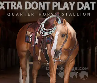 Xtra Dont Play Dat (Snacks)