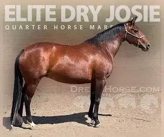 Elite Dry Josie