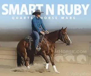 Smart N Ruby