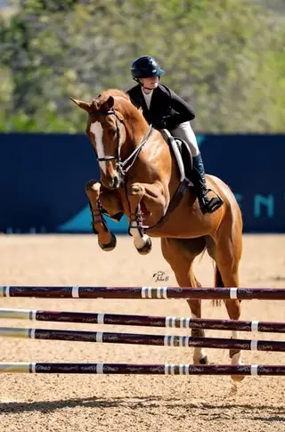 Unnamed horse