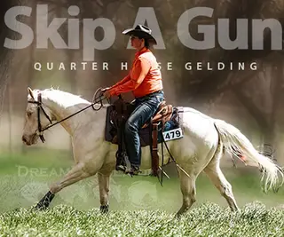 Skip A Gun