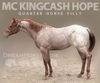 MC KINGCASH HOPE