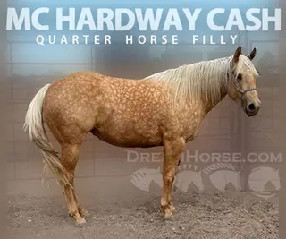 MC HARDWAY CASH