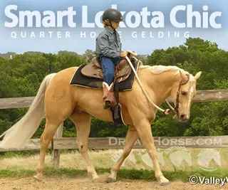 Smart Lokota Chic