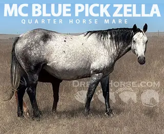 MC BLUE PICK ZELLA