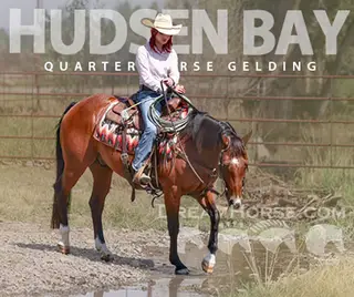 Hudsen Bay