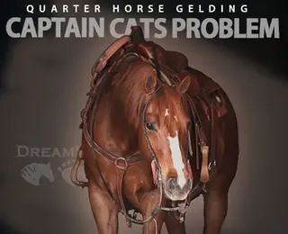 Captain Cats Problem (Beau)