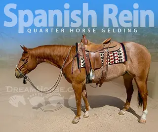 Spanish Rein (Bandit)