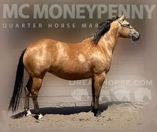 MC MONEYPENNY