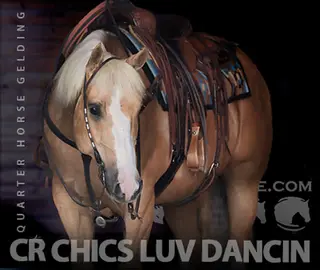 CR Chics Luv Dancin (Luvver)