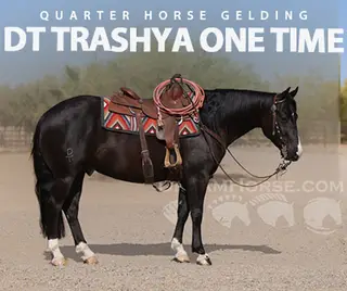 DT Trashya One Time (Once)